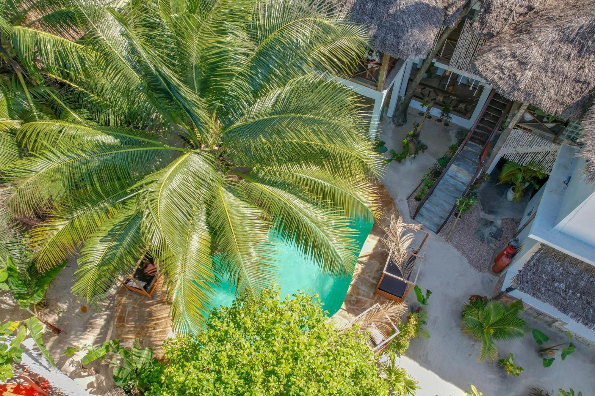 Bed and Breakfast Ocean Boho House Джамбіані Екстер'єр фото